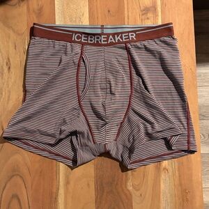 Icebreaker Men's Merino 150 Anatomica Boxer Briefs wFly- Medium (32-34”)